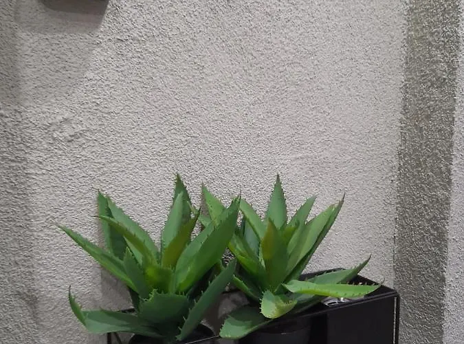 Apartament K&k Luxury Loft *