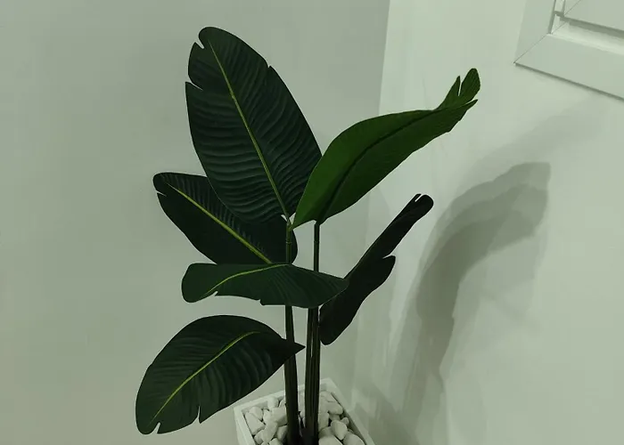 K&k Luxury Loft Apartament